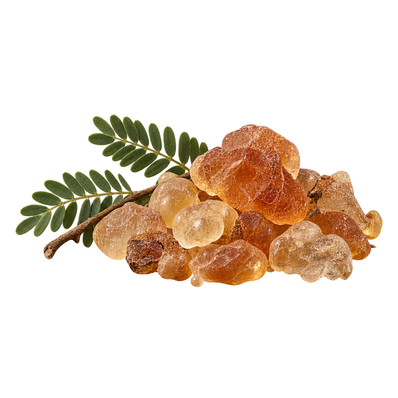 UKA formula ingredient — acacia